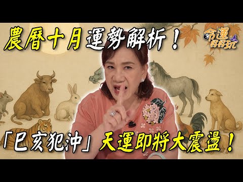 農曆十月運勢解析！「巳亥犯沖」天運大震盪！運勢最好VS.最差生肖大公開！｜【大預言天團】每週精選