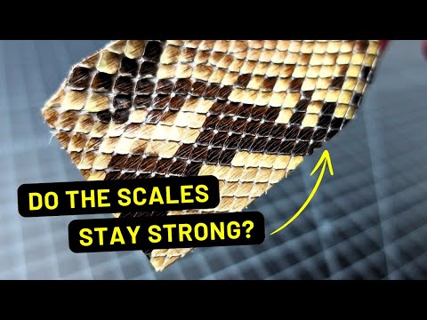 Python Leather for Leather Working: A Detailed Look