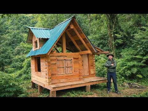 I Built My Dream Off-Grid Cabin using Only Hand Tools with My Dog.