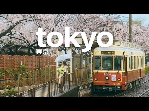 back in tokyo for spring