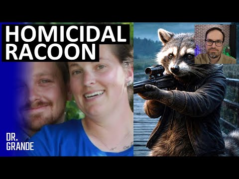 Three Anti-Fatherhood Women Have Trouble Explaining Mysterious Bridge Death | Shea Briar Analysis