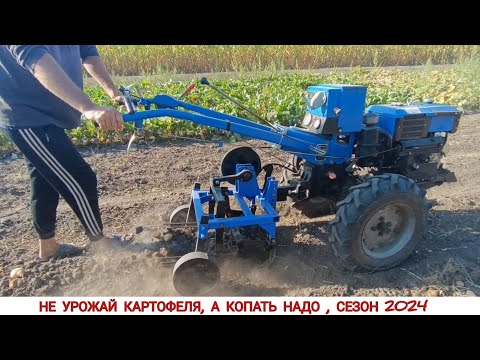 НЕ УРОЖАЙ КАРТОФЕЛЯ 2024 ( КОПАЕМ ГРОХОТНОЙ КОПАЛКОЙ КЕНТАВР / POTATO HARVESTING SEASON 2024