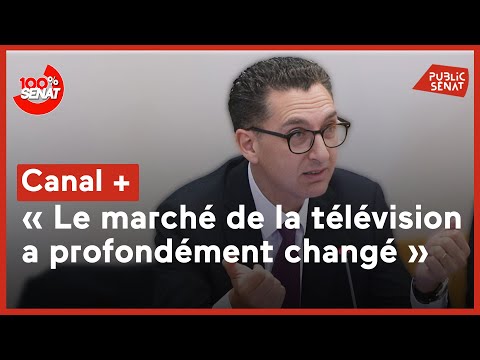 Audition de Maxime Saada, PDG du groupe Canal+