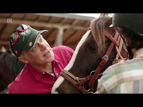 Reiten lernen in 5 Tagen   Schmidt Max   Freizeit   Natural Horsemanship