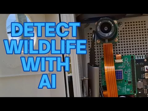 Raspberry Pi and AI, Thermal Cameras, and detecting Kangaroos!