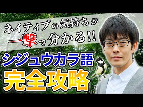 [Permanent Edition] The ultimate video that will help you understand the Tit language in one go #252