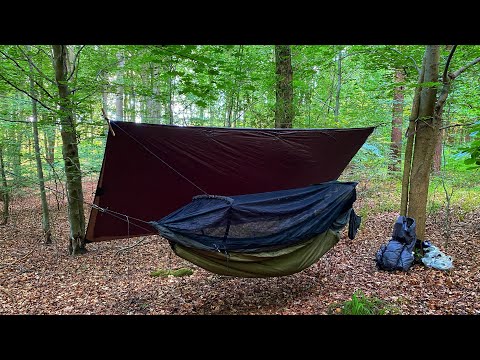 WILD CAMPING UK / HAMMOCK CAMPING IN THETFORD FOREST / CAVEMAN STEAK FOR DINNER