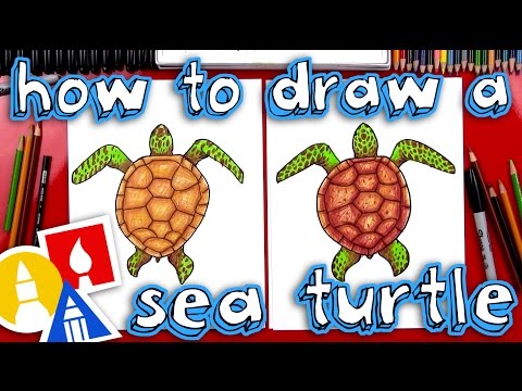 How To Draw A Realistic Sea Turtle
