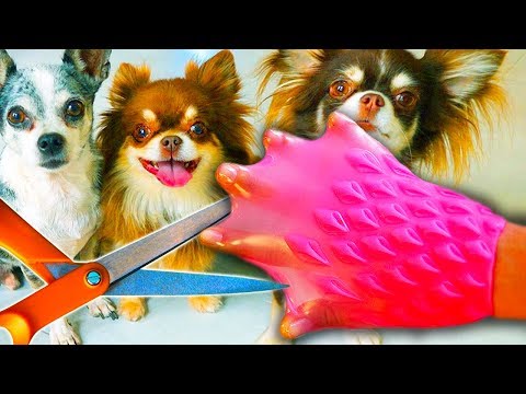 ANTISTRESS PETS VS. MAGICAL PETS! WHAT'S INSIDE? CUT OUT ANTISTRESS PETS AND A RESTAURANT FOR ALIENS
