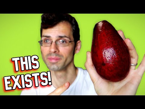 RED AVOCADO - Looks Cool, but Does it Taste Good? - Weird Fruit Explorer