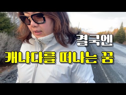 목숨걸고 딴 영주권이지만 평생 살지는 못할 거 같네요.