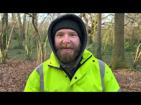 You’ve consumed enough. God wants you to start creating.