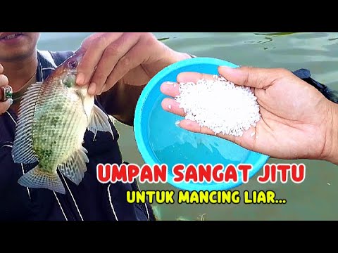 Don't do anything else || if there is this surefire bait