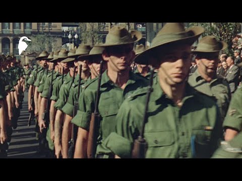 Action in Vietnam (1966) | Australian Army in War Zone D – Rare Archival Footage
