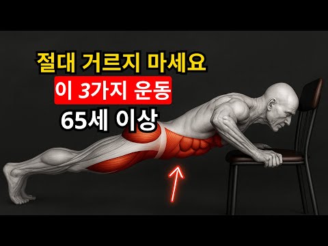 60세 이후, 걷기보다 중요한 단 3가지 근력 회복 루틴