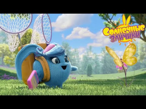 Шайни и Ирис ищут бабочек 🦋 | Солнечные зайчики