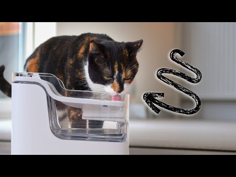 Why your Cat needs a Smart Water Drinking Fountain! - PetGuGu Water Fountain