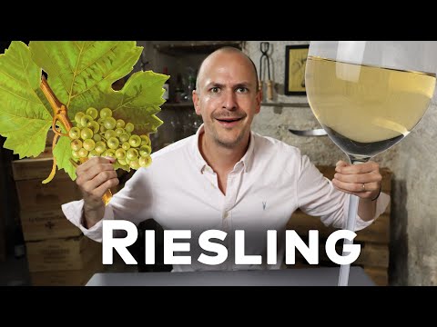 RIESLING - WINE IN 10