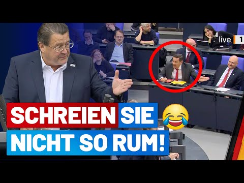 Getroffene Hunde bellen! - Stephan Brandner - Fraktion im Bundestag