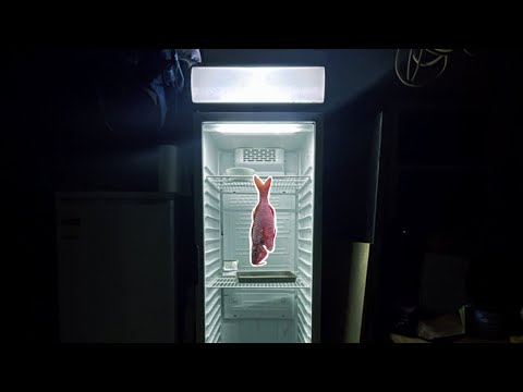 DRY AGE FISH at Home Part 1