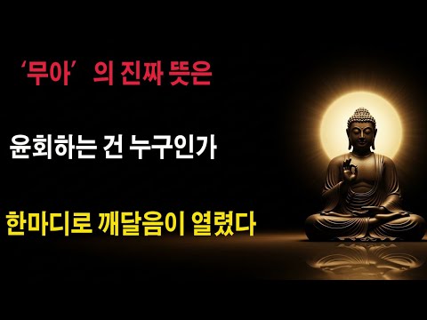 '무아인데 어떻게 윤회할까? 허운 대선사의 명쾌한 한마디
