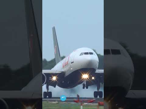 AIRBUS A310 Landing