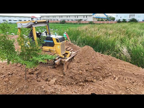 NICELY LANDFILL! Amazing Skill Of KOMATSU Bulldozer D31PX Push Soils With Team Trucks 5t Dumping