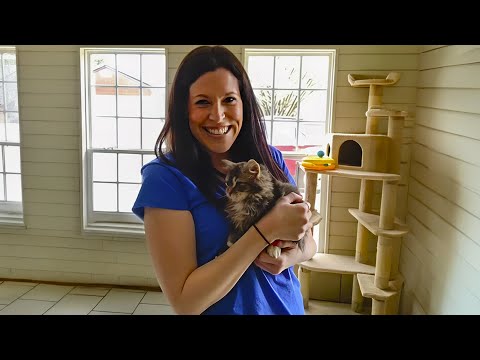 She Never Wanted a Cat — Until She Met This Talkative Boy