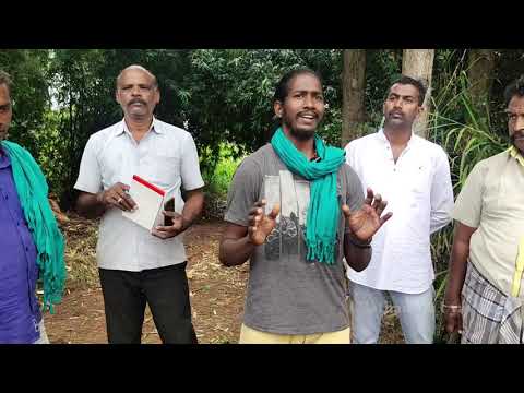 அரை ஏக்கர் நிலம் தினம் 2000rs வருமானம் | உணவு காடு|ஆரோ ஆர்ச்சர்டு பண்ணை