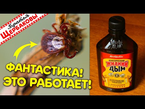 LIQUID SMOKE AGAINST MITES! Fantastic - it works!