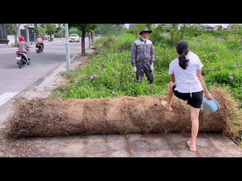 Neighbors said there are no sidewalks here and I cleaned nearly 1km to prove it