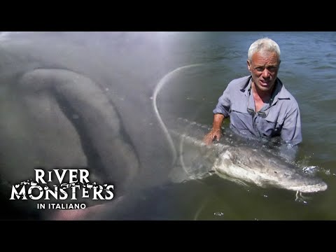 il GIGANTESCO Storione Bianco dell'ALASKA! - River Monsters ITA Episodio Completo - S02E03