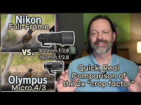 Quick Comparison with Olympus Micro Four Thirds vs Full Frame Sensor.