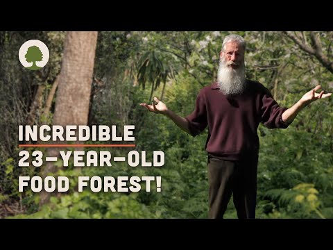 Couple Transform Land into an Amazing Permaculture Food Forest