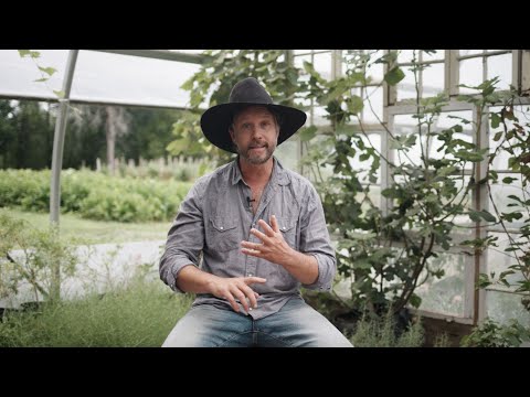 The New and Improved: Masterclass Certificate