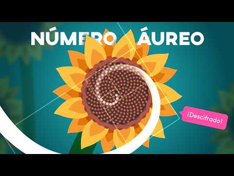 La espiral de Fibonacci es más especial de lo que parece | Descifrando el número áureo