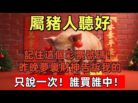 屬豬人聽好：記住這個彩票號碼！昨晚夢裏財神告訴我的，只說一次！誰買誰中！#玄运生肖#屬相運勢#生肖#家運#手寫#生肖運勢的那些事#先知#風水變化#提升運勢