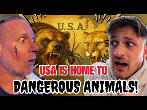 European Dad & Son Discover America’s Most DANGEROUS Animals!
