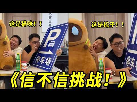 《信不信挑战!》这是信不信的事儿吗?这不是睁着眼睛说瞎话吗?哈哈哈哈哈哈!这个小猫和梳子真是太像了!根本分不清楚呀!