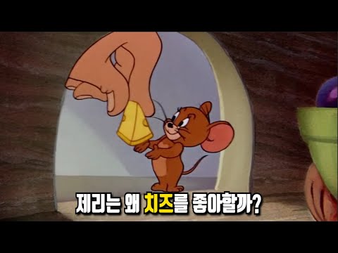 《톰과 제리》 당신이 몰랐던 몇 가지 비밀들