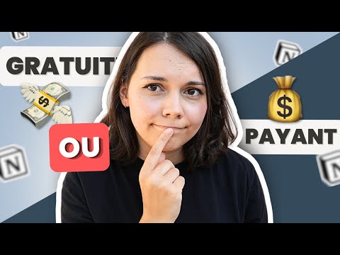 Quel ABONNEMENT NOTION choisir en 2024 pour son espace ? 🕵️‍♂️