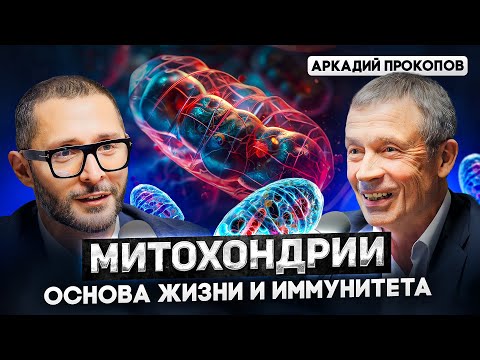 Аркадий Прокопов. Что скрывают ваши митохондрии? Доктор Дзидзария о старении и хронических болезнях