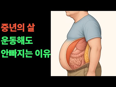 50세 이후 체중이 달라지는 과학- 중년의 몸속에서 벌어지는 일들