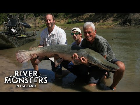Sulle Tracce del PESCE ALLIGATORE - River Monsters ITA - S01E02
