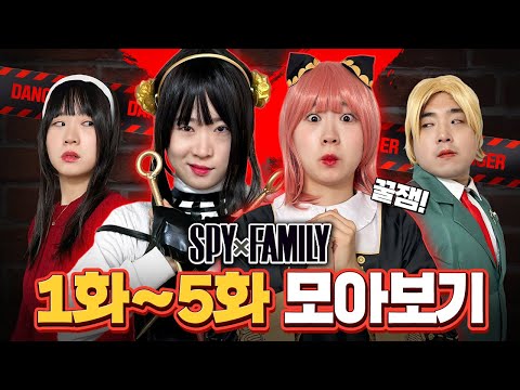 스파이패밀리 1~5화 모아보자!! 스토리 대박!! 시간 순삭!