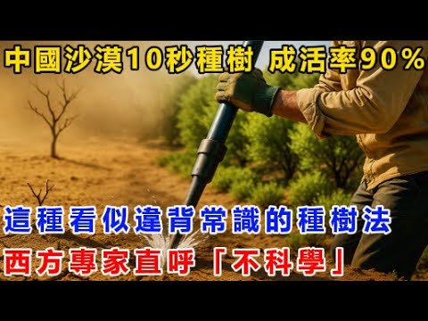 中國沙漠10秒種樹，成活率90%！這種看似違背常識的種樹法！西方專家直呼「不科學」！