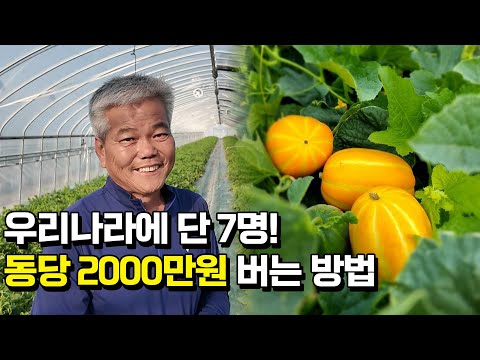 일년내내 수확하는 고소득 작물! 동당 2000만원 버는 방법