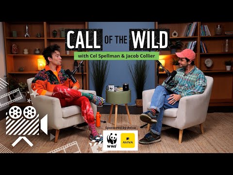 Jacob Collier on the noise of nature, being present, and climbing trees | Call of the Wild Podcast