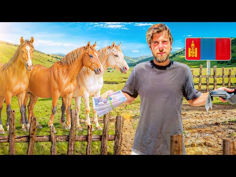 I Bought a Horse in Mongolia 🇲🇳
