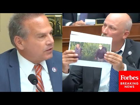 'I've Got Picture After Picture!': Chip Roy, David Cicilline Disagree Over Gun Bill Amendment